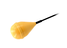 MT